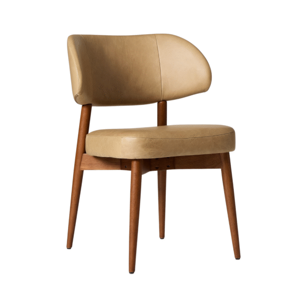 Furn Heaven Kaveri Luxe Dining Chair