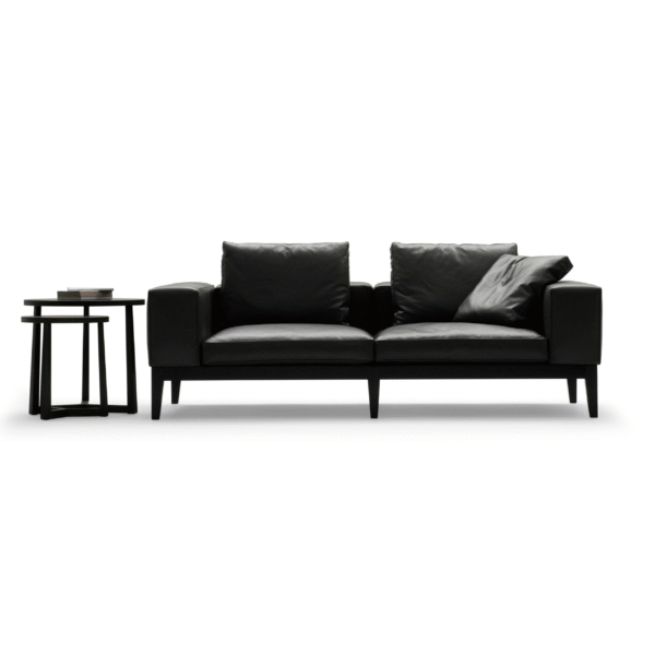 Furn Heaven NoirNest Sofa